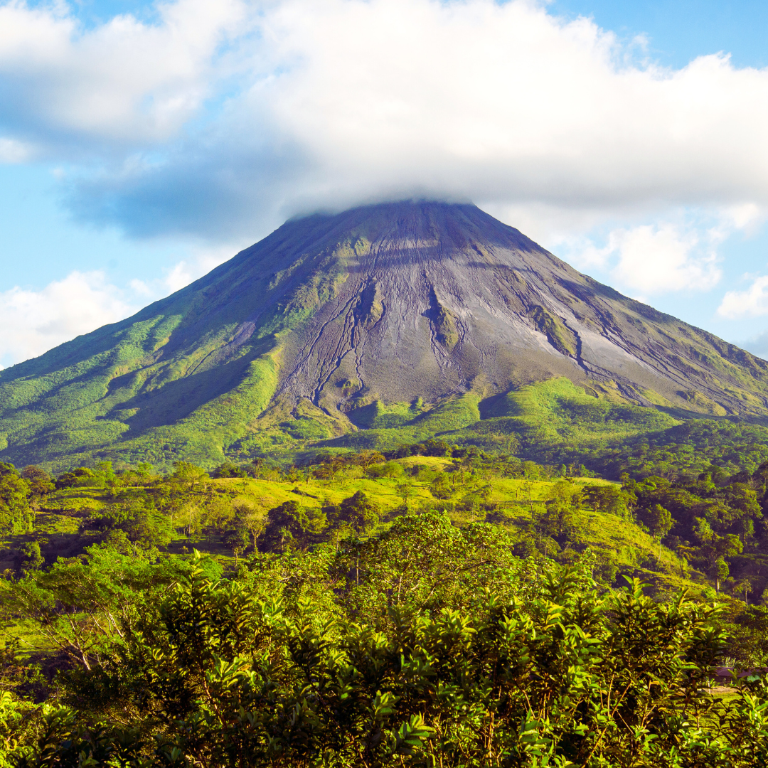 A photo of a Jamaica Blue Mountain scene with blue skies and fluffy white clouds