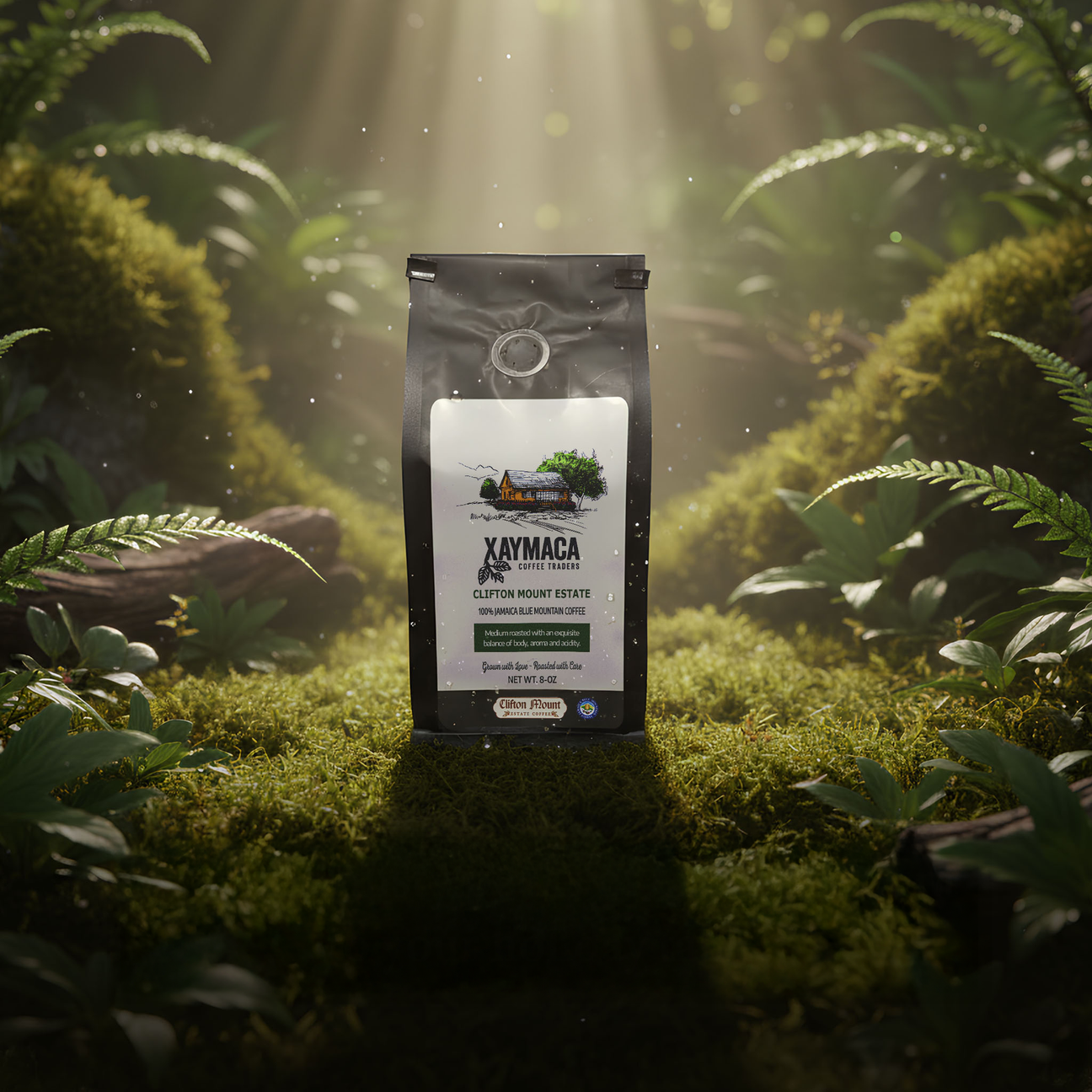 Blue Mountain Coffee