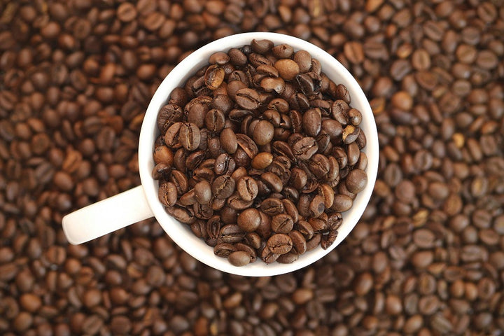 Photo of a white cup filled with he best Jamaican coffee beans on a bed of coffee beans