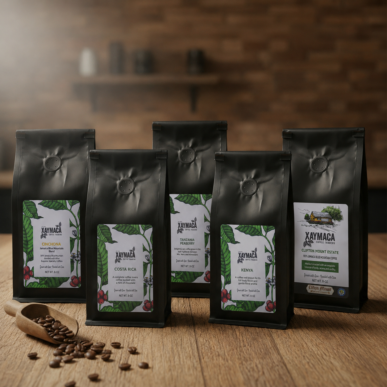 Drip & Brew Discovery Set - 8oz