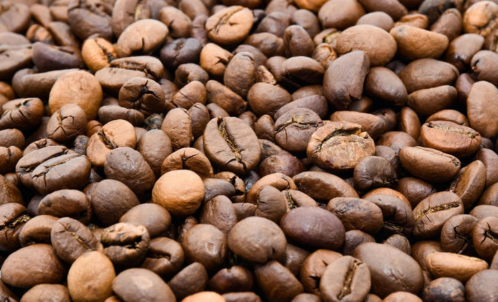 Close-up shot of top quality Jamaican coffee beans