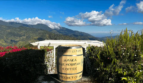 Jamaica Blue Mountain Coffee barrel with scenic mountain backdrop