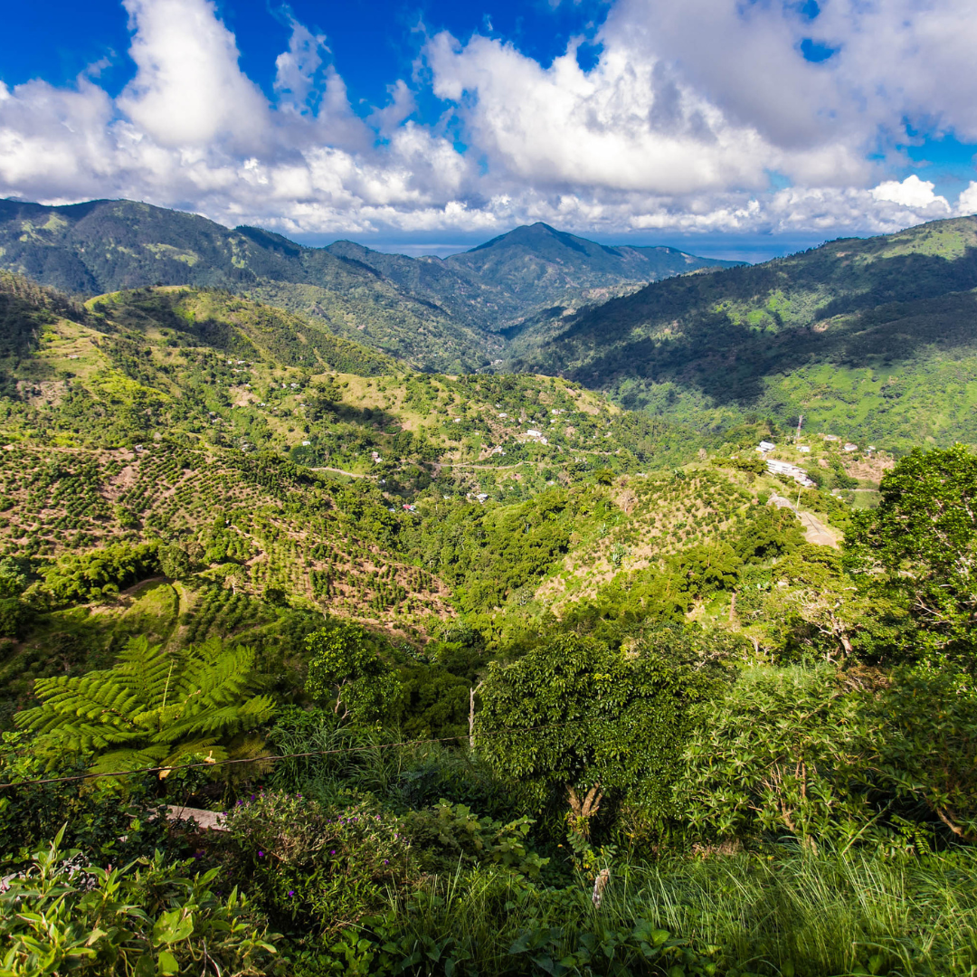 Jamaica landscape with Green mountains with blue sky and clouds - taken by Xaymaca Coffee