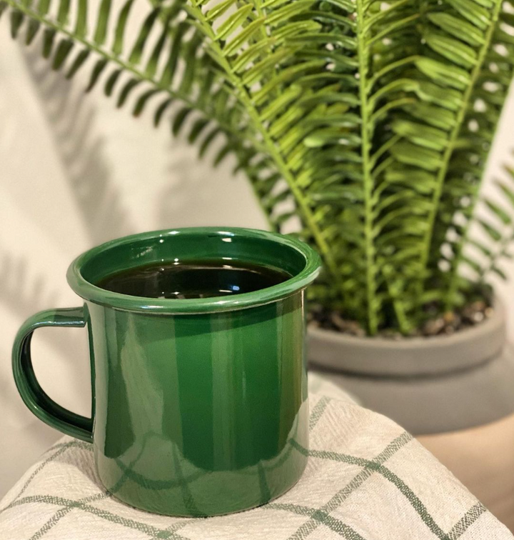 Stylish green cup of Xaymaca Jamaican coffee displayed in front of a beautiful fern plant.