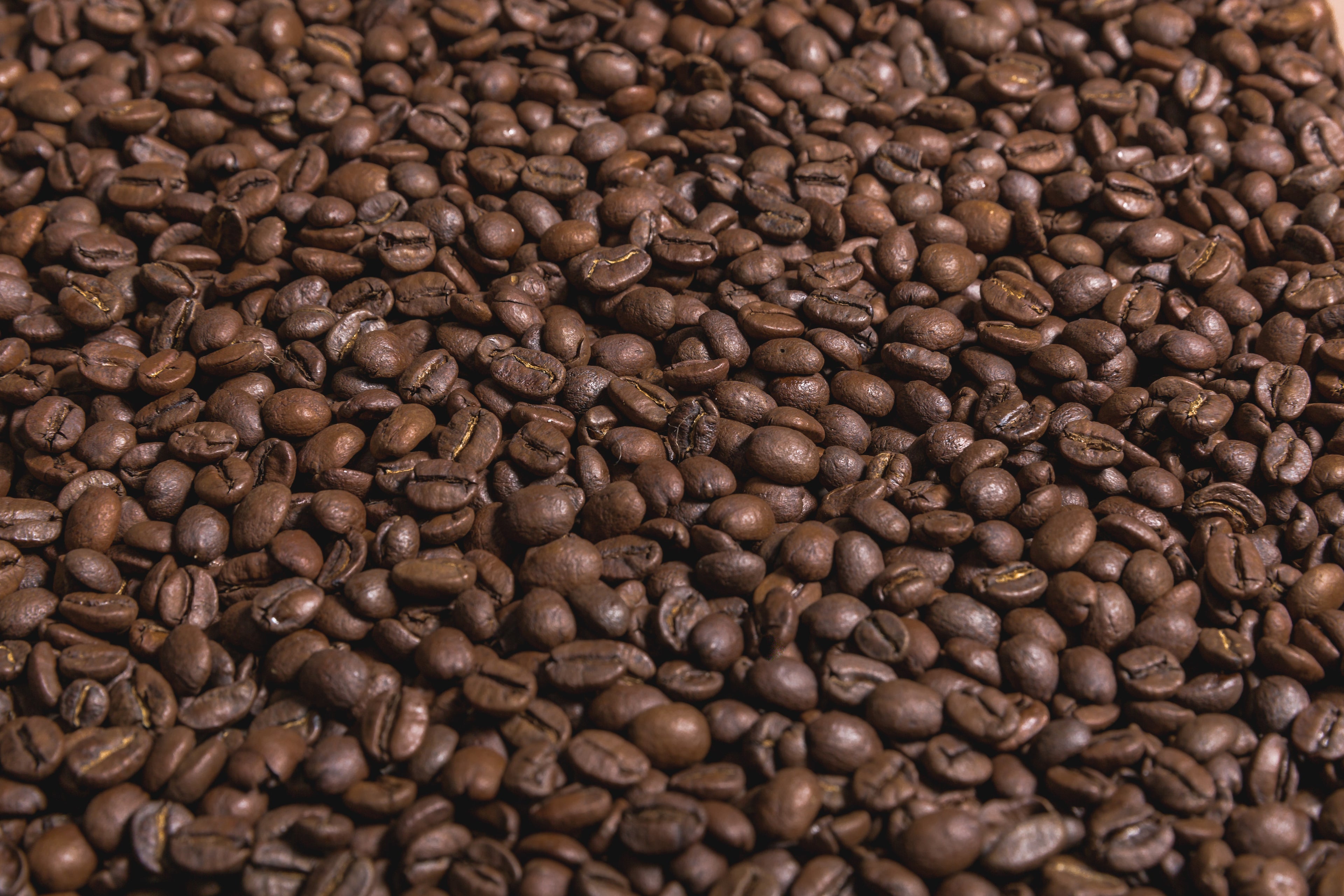 Roasting Jamaica Blue Mountain coffee beans